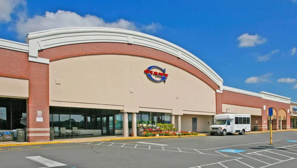 A palm tree-lined shopping center with a large parking lot.