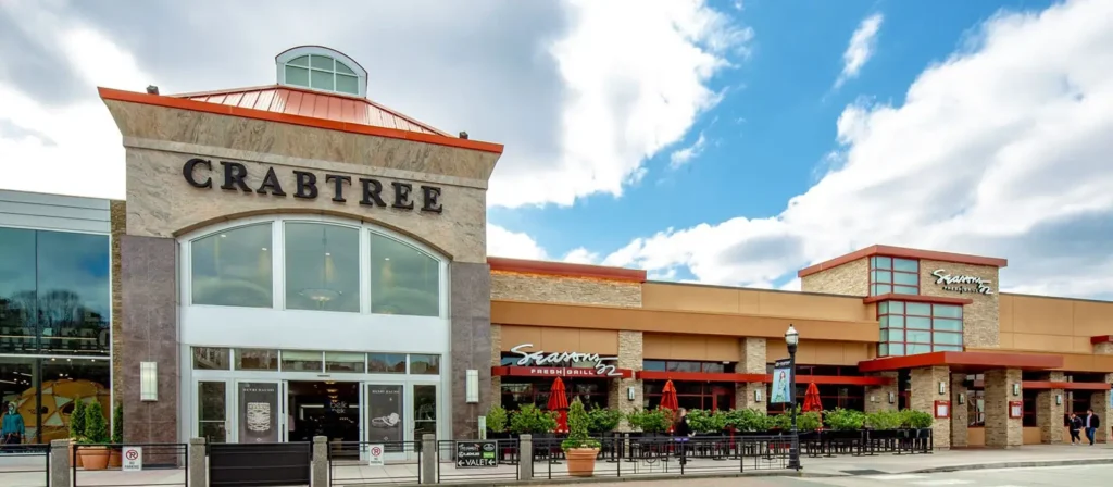 Discover a vibrant shopping center on a bustling street, where endless shopping opportunities await. Embrace the excitement of this lively mall!